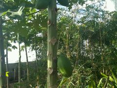 -天源吉布世温泉水乐园