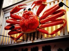 -蟹道乐(道顿堀本店)