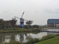 -荷兰花海