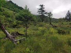 -硗碛藏寨·神木垒景区