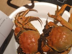 -星伦多自助料理(宝山龙湖天街店)