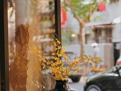 -Apollo·西班牙小酒馆(安福路店)