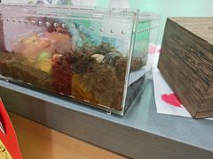 -艺塔木美学教育(和达校区)