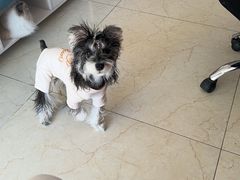 -FAELING PETS美天灵宠物(合生汇店)