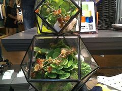 android_upload_pic-沈阳大商千盛购物中心有限公司(长江街店)
