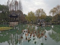 -乌镇望津里精品酒店