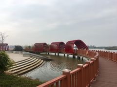 -芒洲湿地公园