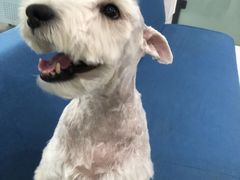 -北京恒爱动物医院(清景园分院)