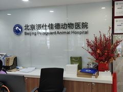 -北京派仕佳德动物医院·超导核磁·CT·神经科·骨科·内外科·急重症管理中心