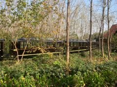 -合肥滨湖国家森林公园