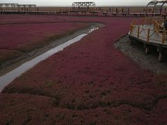 -红海滩国家风景廊道