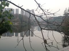 -重庆彩云湖湿地公园