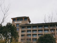 -舟山朱家尖绿城威斯汀度假酒店