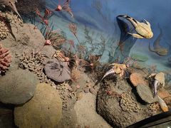-浙江自然博物院(杭州馆)