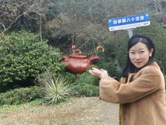 -十八棵（老龙井）御茶园(老龙井店)
