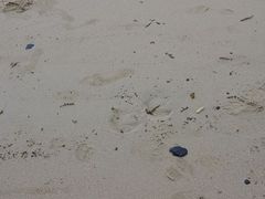 -西涌国际滨海旅游区