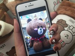 -line friends(明洞旗舰店)