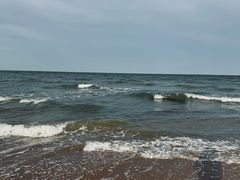 -日照海滨国家森林公园