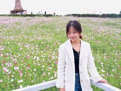 -大塘金香草谷