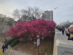 -元大都城垣遗址公园
