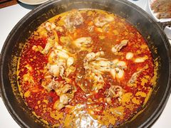 牛蛙火锅-老天桥蛙炉火锅(姑苏总店)