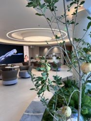 -深圳芙必优医疗美容·抗衰中心