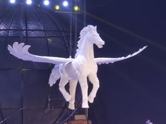 -兴芮温泉度假区