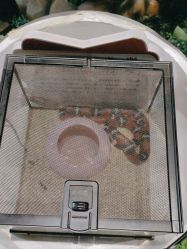 -酷嗒动物文化乐园(cutezoo西溪乐天城店)