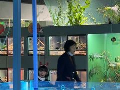 -上海大自然野生昆虫馆(东方明珠·爬宠昆虫探索中心)