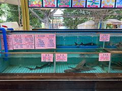 水产区-荔城生鲜盛宴(番禺旗舰店)