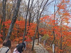 -五女山景区