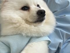 -怪兽屋·羊驼·猫咖·狗咖(俊华广场店)