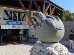 -广东惠东海龟国家级自然保护区