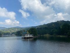 -庐山风景区花径公园