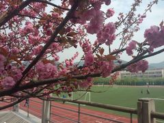 景点-浙江农林大学(东湖校区)
