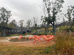 -武汉动物园