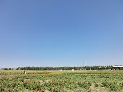 -西域欢乐城