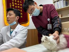 -宠福鑫动物医院·动物疾病诊疗中心(天通苑店)