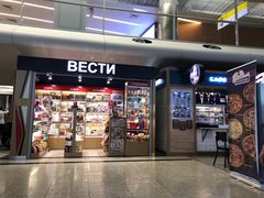 -谢列梅捷沃国际机场