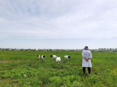 -盐城丹顶鹤湿地生态旅游区