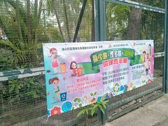 -九龙公园