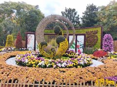 -上海共青森林公园