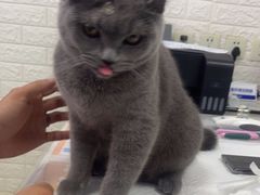 -宠颐生·恒爱宠物医院(静海店)