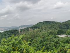 -火炉山森林公园