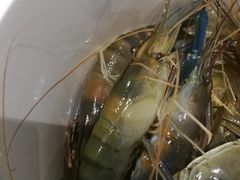 -川骄海鲜自助(河东店)