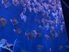 -沈阳海洋探索中心