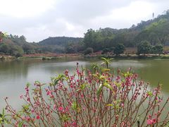 -南国桃园旅游度假区