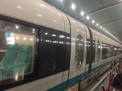 -龙阳路磁悬浮列车总站-停车场