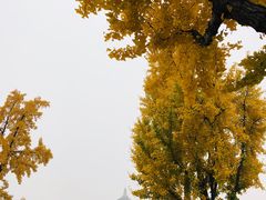 -大雁塔北广场音乐喷泉