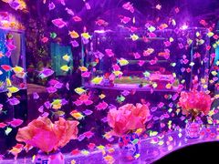 -南昌融创海世界
